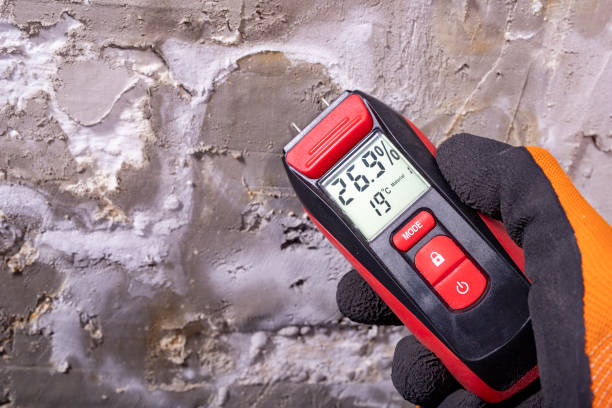 Best Mold Testing and Removal  in Sterling City, TX