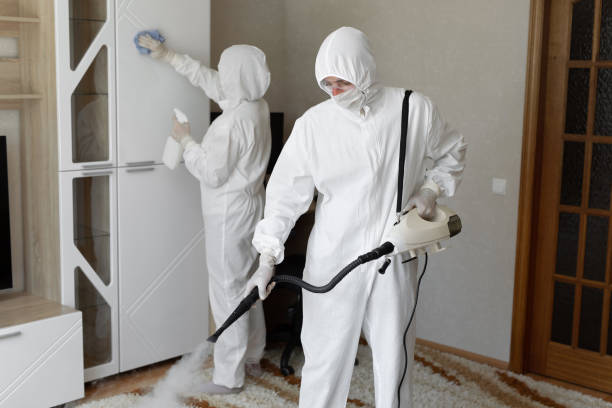 Best Commercial Mold Removal  in Sterling City, TX